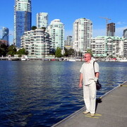 ���������� �������, ���� ������� Vikont, 60 ���, ������������ ��� ������, ����� � ���������, c�������� ���������