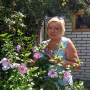 ���������� ����, ���� ������� ����, 55 ���, ������������ ��� ������, ����� � ���������, c�������� ���������