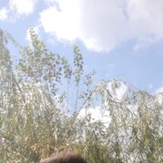  ,   , 38 ,     , c , 