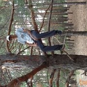  ,   , 30 ,   