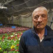  ,   , 54 ,   ,   