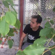  --,   , 34 ,   ,   , c , 