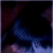 ���������� ������, ���� ������� ������������, 29 ���, ������������ ��� ����� � ���������, c�������� ���������