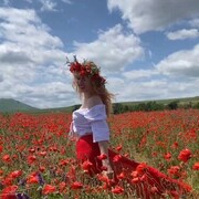 ���������� ����������� ����, ���� ������� �������, 40 ���, ������������ ��� ������, ����� � ���������, c�������� ���������