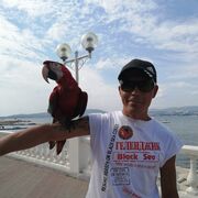  ,   , 41 ,   ,   , c 