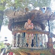 ���������� ������, ���� ������� �������, 46 ���, ������������ ��� ������, ����� � ���������