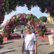 ���������� ��������, ���� ������� �����, 52 ����, ������������ ��� c�������� ���������