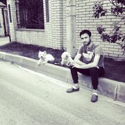  ,   Romiz, 34 ,   ,   , c , 