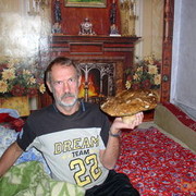  ,   , 74 ,   
