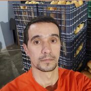 ���������� �����������, ���� ������� Said, 28 ���, ������������ ��� ������, ����� � ���������