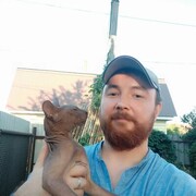  ,   , 38 ,   ,   