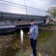 ���������� �������, ���� ������� ����, 29 ���, ������������ ��� ������, ����� � ���������