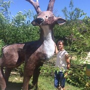 ���������� ����, ���� ������� �����, 49 ���, ������������ ��� ������, ���������