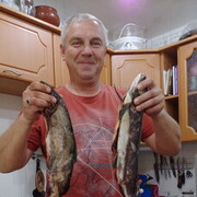  ,   , 53 ,   ,   , c 