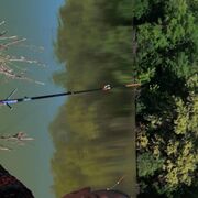 ���������� ������, ���� ������� ����, 33 ����, ������������ ��� ������, ����� � ���������, c�������� ���������, ���������