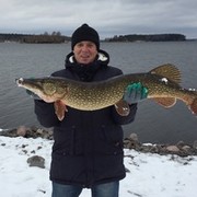  ,   , 46 ,   