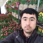 ���������� �����-���������, ���� ������� ������, 36 ���, ������������ ��� ������, ����� � ���������