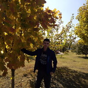 ���������� ������ �����, ���� ������� ����, 40 ���, ������������ ��� ����� � ���������, c�������� ���������