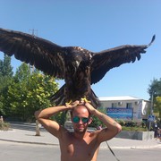 ���������� ����, ���� ������� ��� 32, 41 ���, ������������ ��� ������, ����� � ���������, c�������� ���������