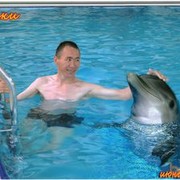  ,   Alihan, 49 ,  