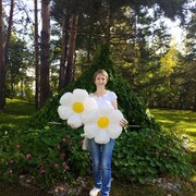 ���� - �������