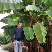 ���������� ������, ���� ������� ���, 39 ���, ������������ ��� ������, ����� � ���������, c�������� ���������