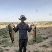 ���������� �����-���������, ���� ������� �����, 37 ���, ������������ ��� ������, ����� � ���������