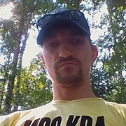  ,  Tarantul, 41