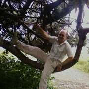  -,   , 71 ,     , c 