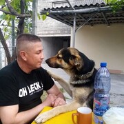  --,   , 53 ,   ,   