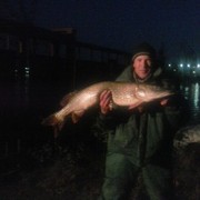 ���������� �����������, ���� ������� ����, 46 ���, ������������ ��� ������, ����� � ���������, c�������� ���������