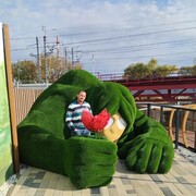 ���������� ���������, ������� ���������, 42