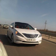 ���������� ����, ���� ������� Qasim, 36 ���, ������������ 