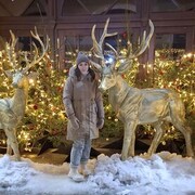 ���������� �������, ������� ���, 31