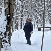 ���������� ������, ���� ������� �������, 66 ���, ������������ ��� ������, ����� � ���������, c�������� ���������