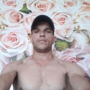 ���������� �����, ���� ������� Elvic, 40 ���, ������������ ��� ������, ����� � ���������, c�������� ���������