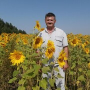 ���������� ������, ���� ������� �������, 62 ����, ������������ 