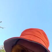 ���������� ���������, ���� ������� ���������, 37 ���, ������������ ��� ����� � ���������, c�������� ���������