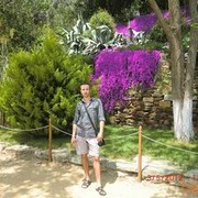 ���������� ������, ���� ������� �����, 40 ���, ������������ ��� ������