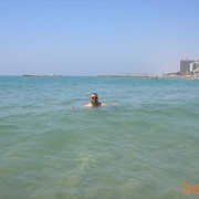  Tel Aviv-Yafo,   IHIILL, 55 ,     , c 