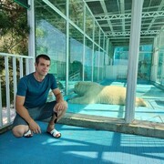 ���������� ������ ��������, ���� ������� �����, 33 ����, ������������ ��� c�������� ���������