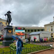 ���������� �����-���������, ���� ������� ����, 65 ���, ������������ ��� ����� � ���������, c�������� ���������