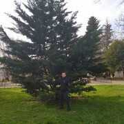 ���������� ������, ���� ������� �����, 32 ����, ������������ ��� ������, ����� � ���������