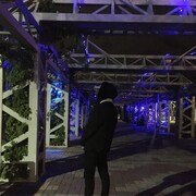 ���������� ���������� �����, ���� ����� ������, 24 ����, ������������ ��� c�������� ���������