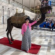 ���������� �����������, ���� ������� �����, 53 ����, ������������ ��� ����� � ���������, c�������� ���������