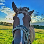 ���������� ����, ���� ����� ���, 22 ����, ������������ ��� ������, ����� � ���������, c�������� ���������, ���������