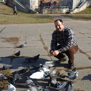  ,   , 53 ,   