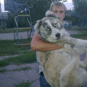 ���������� ������, ���� ������� ��������, 38 ���, ������������ ��� ������, ����� � ���������, c�������� ���������