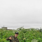 ���������� ������, ���� ������� ������, 48 ���, ������������ ��� ������, ����� � ���������, c�������� ���������