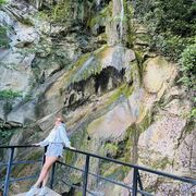 ���������� �������, ���� ������� ����, 40 ���, ������������ ��� c�������� ���������